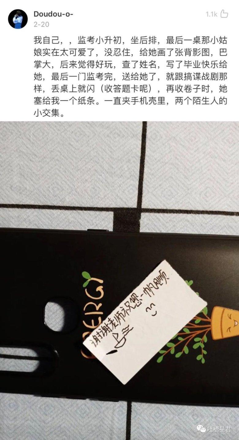 植物大战僵尸20